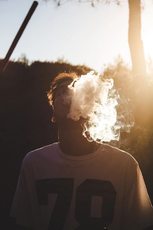 Start Vaping Today Essential Tips for New Users